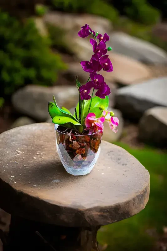 0.65 lt 11,6x10,2 sm. Orkide tuvagi Baklava naqshli plastik kristalli Yakamoz Orkide tuvagi No1-0.65LT - 1