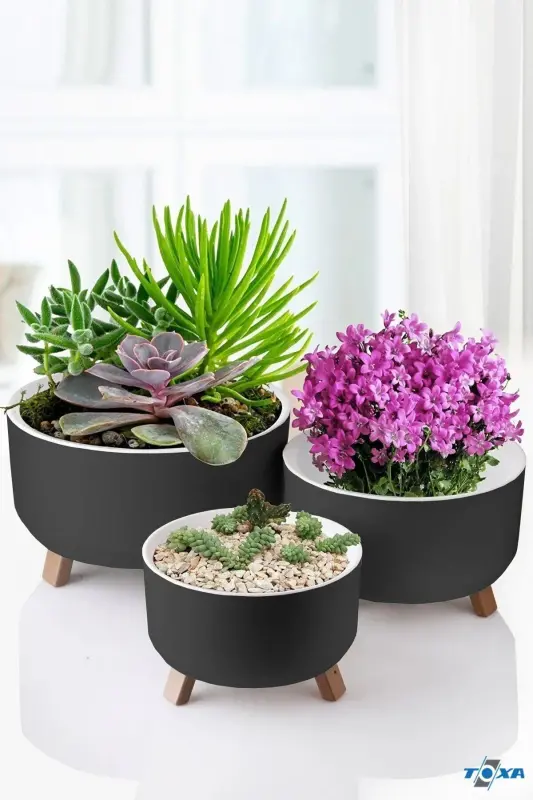 0.7 Liters 15cm Orbita Pot with Legs, Perforated, Drained Plastic Succulent Violet Arrangement Pot-No1 ANTHRACITE - 8