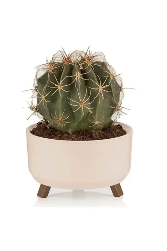 0,7 Litr 15cm Orbita Gultuvak Oyoqli Tesikli Suv oʻtkazgichli Plastik Sukulent Binafsha Aranjman Gultuvagi-No1 BEJ - 1