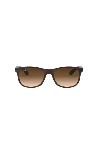 0RB 4202 607313 55 Unisex Güneş Gözlüğü-Kahverengi - RAY-BAN (1)