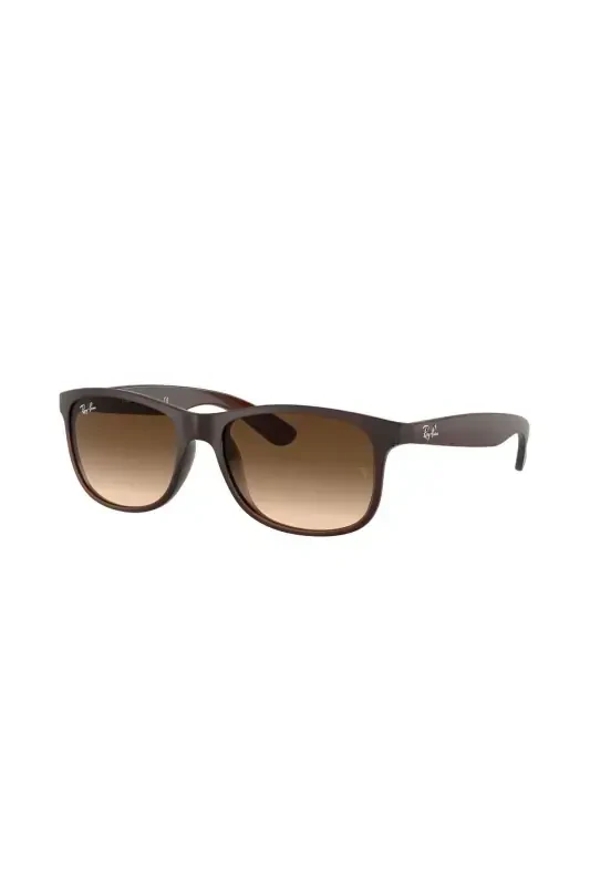0RB 4202 607313 55 Unisex Sunglasses-Brown - RAY-BAN