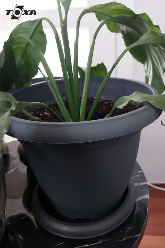 1 литр антрацитово-серая матовая пластиковая маленькая круглая тарелка Villa No2 Ø15,3x11,6см-1л - 3