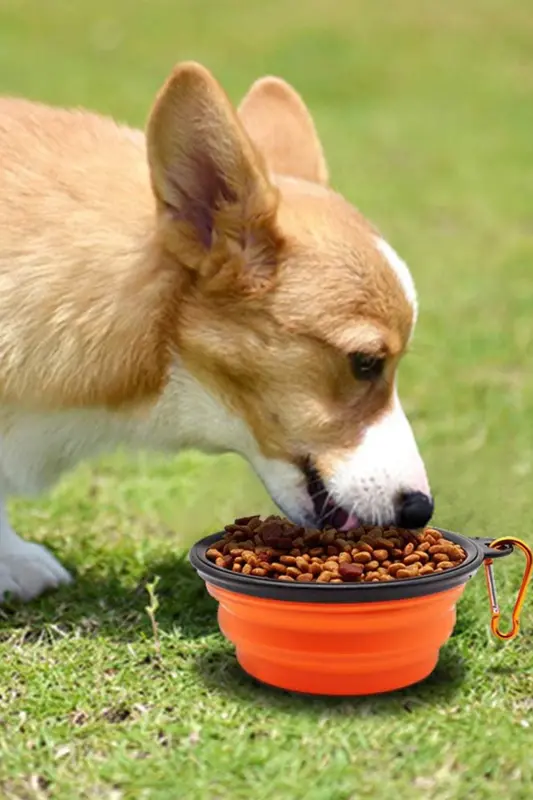 1 Piece Portable Silicone Foldable Pet Cat Dog Practical Food and Water Bowl with Hanging Accessory - 9