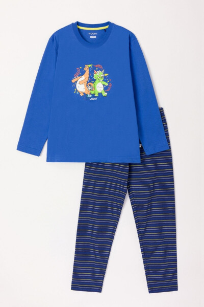 10-16 Years Old Boys Pajama-Pls - 875-Blue - 21