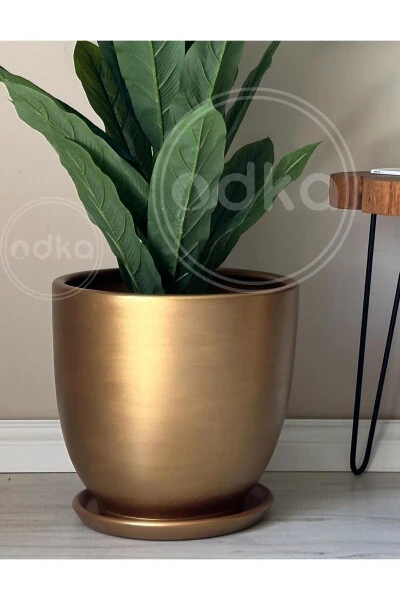 10 Liter Classic Pot with Draining Tray, Diameter: 25cm Height: 23cm Gold - ODKA