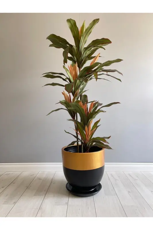 10-liter Pot with Saucer Diameter: 25cm x Height: 23cm Black Gold - Black-Gold - 4