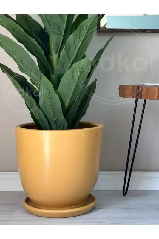 10 liter Pot with Saucer Diameter: 25cm x Height: 23cm Yellow-Yellow - 1