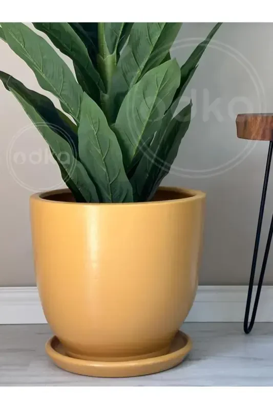 10 liter Pot with Saucer Diameter: 25cm x Height: 23cm Yellow-Yellow - 2