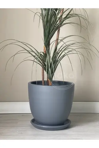 10 liter Pot with Saucer Diameter: 25cmx Height: 23cm Dark Smoke-Dark Smoke - 2