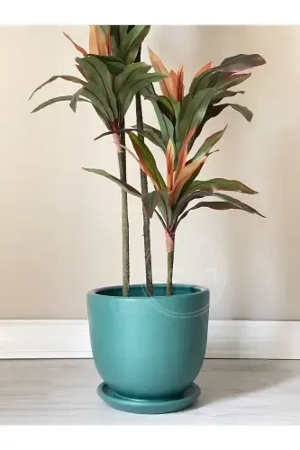 10 Litre Pot with Saucer Dia: 25cmx Height: 23cm Emerald Green-Emerald - 3