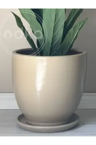 10 Litre Pot with Saucer Diameter: 25cmx Height: 23cm Beige-BEIGE - ODKA (1)
