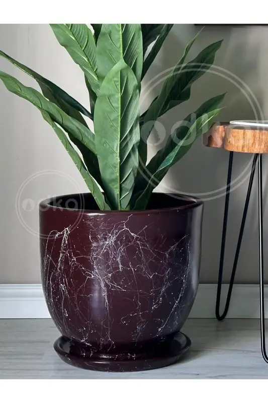 10 Litre Pot with Saucer Diameter: 25cmx Height: 23cm Mia Bordeaux Marble Patterned-Bordeaux Marble Patterned - 2