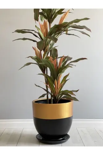 10litre Saksı Tabaklı Çap: 25cmx Yükseklik: 23cm Siyah Gold - Siyah-Gold - 1