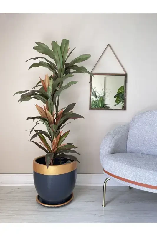 10litre Saksı Tabaklı Çap: 25cmx Yükseklik: 23cm Antrasit Gold-Antrasit - 1