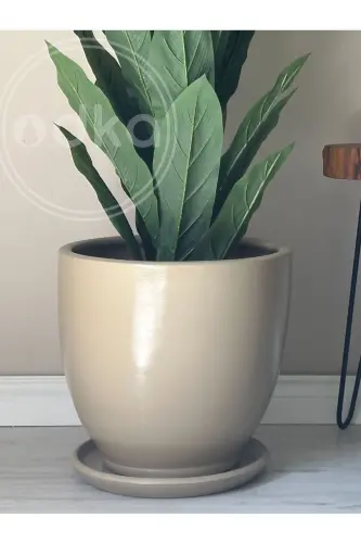10litre Saksı Tabaklı Çap: 25cmx Yükseklik: 23cm Bej - BEJ - 3