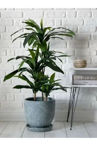 10litre Saksı Tabaklı Çap: 25cmx Yükseklik: 23cm Mia Füme Mermer Desenli-Füme Mermer Desenli 