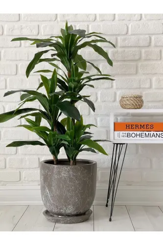 10litre Saksı Tabaklı Çap: 25cmx Yükseklik: 23cm Mia Vizon Mermer Desenli-Vizon Mermer Desenli 