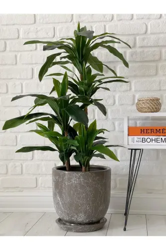 10litre Saksı Tabaklı Çap: 25cmx Yükseklik: 23cm Mia Vizon Mermer Desenli-Vizon Mermer Desenli - ODKA (1)