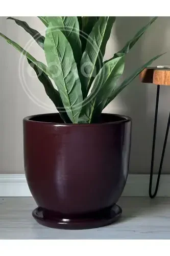 10 litrli guldon, tagʻi bor, diametri: 25sm x Balandligi: 23sm, Bordo-Bordo - 3