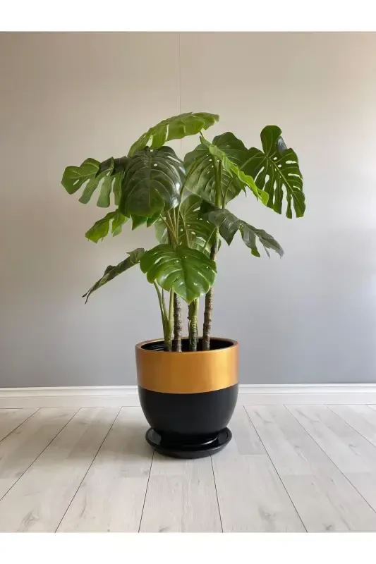 10 litrli guldon, tagʻi bor, diametri: 25sm x Balandligi: 23sm, qora, tilla rangli-qora - 2