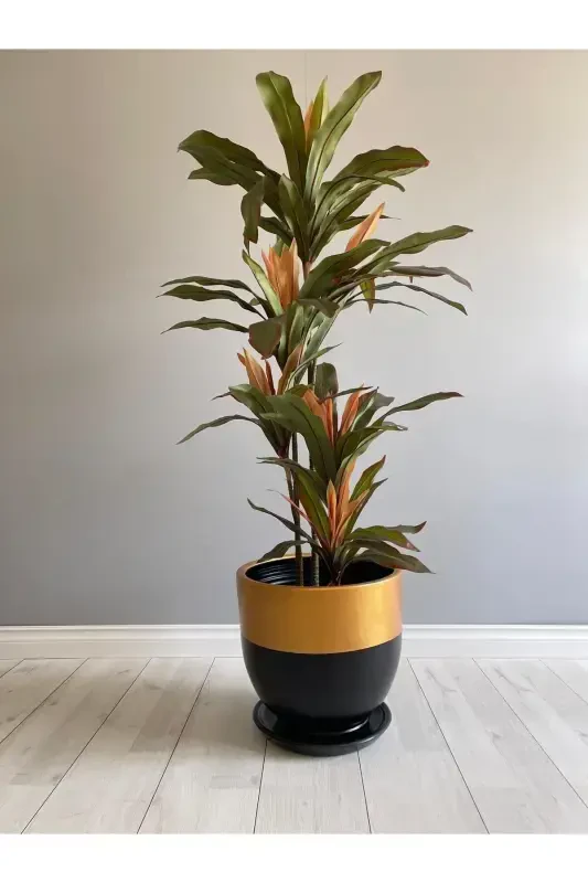 10 litrli guldon, tagʻi bor, diametri: 25sm x Balandligi: 23sm, qora, tilla rangli-qora - 3