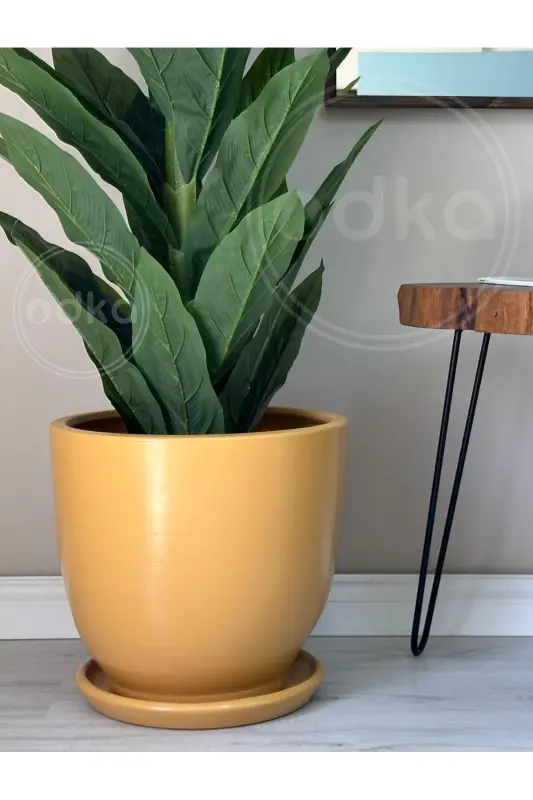 10 litrli tuvak tagʻorasi Diametri: 25sm x Balandligi: 23sm Sariq-Sariq - 1