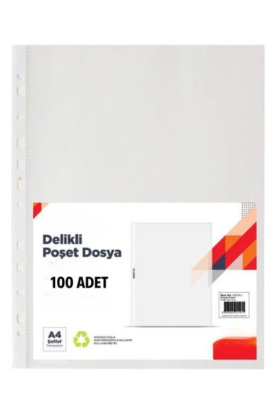 10 Renk Telli Dosya Ve 100lü Poşet Dosya - FİYPER (1)