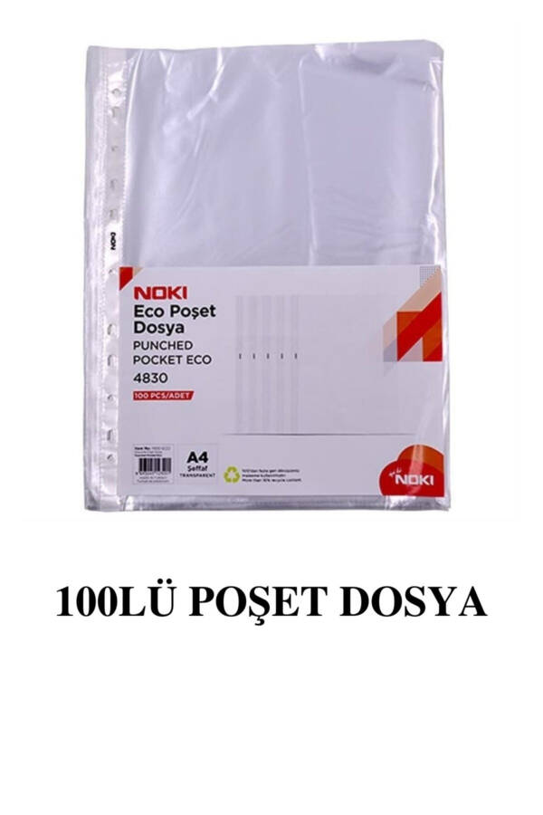 10 Renk Telli Dosya Ve 100lü Poşet Dosya - 2