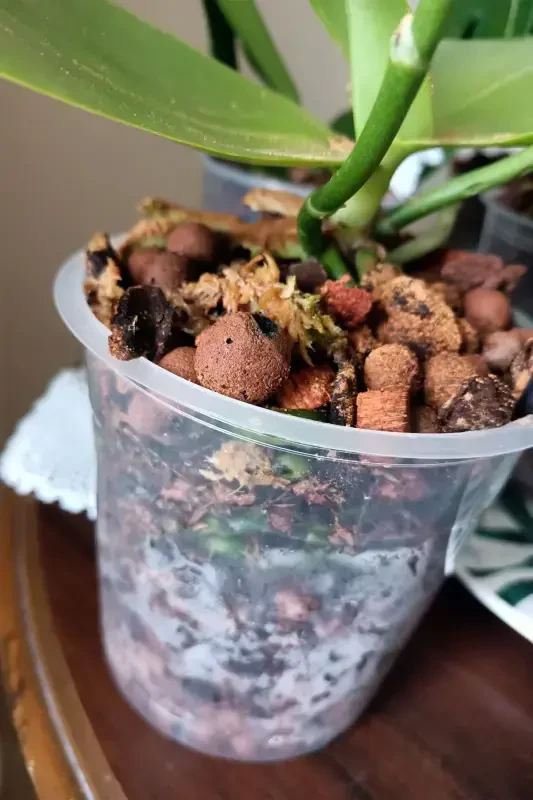 10 штук горшков для выращивания орхидей, 12 горшков, 0,7 литра, прозрачный пластиковый горшок - 10 - 6