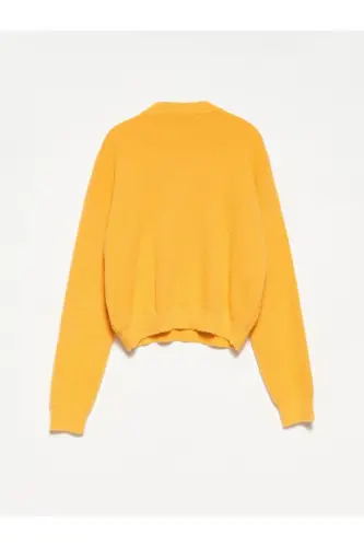 10276 Велосипедный Воротник Свитер-желтый-Желтый - DILVIN (1)