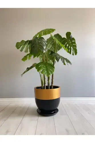 10liter Pot with Saucer Diameter: 25cmx Height: 23cm Black Gold-Black - ODKA (1)