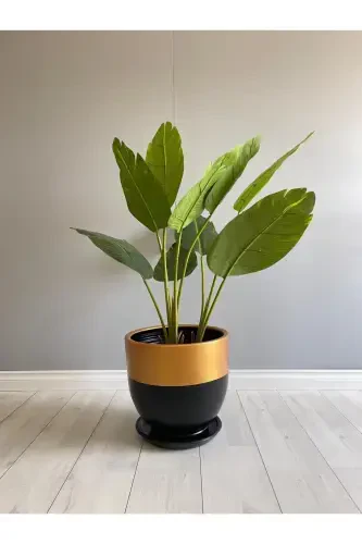 10liter Pot with Saucer Diameter: 25cmx Height: 23cm Black Gold-Black - 4