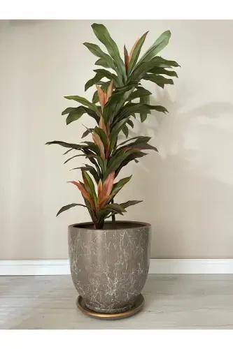 10Liter Pot with Saucer Diameter: 25cmx Height: 23cm Lily Mink White Gold-Mink - 1