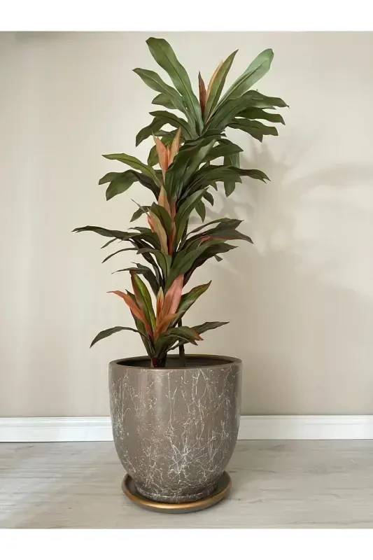 10Liter Pot with Saucer Diameter: 25cmx Height: 23cm Lily Mink White Gold-Mink - 1