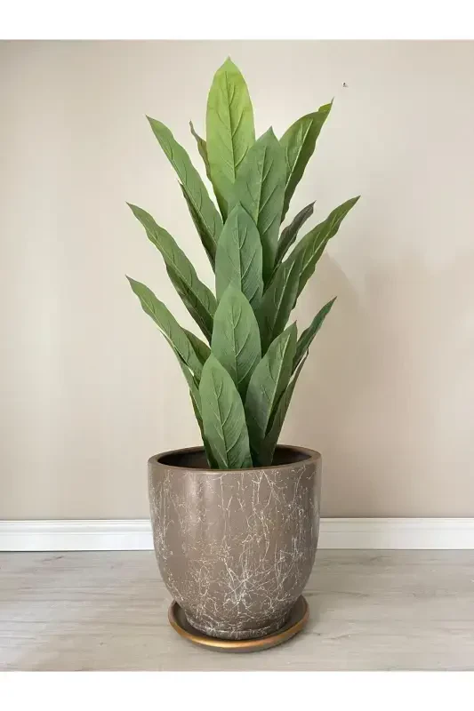 10Liter Pot with Saucer Diameter: 25cmx Height: 23cm Lily Mink White Gold-Mink - 2