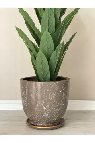 10Liter Pot with Saucer Diameter: 25cmx Height: 23cm Lily Mink White Gold-Mink - 3