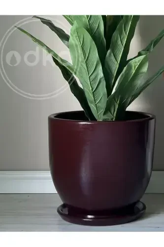 10litre Pot with Saucer Diameter: 25cmx Height: 23cm Claret Red-Claret Red - 1