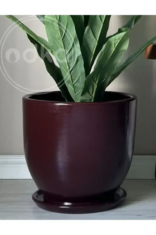 10litre Pot with Saucer Diameter: 25cmx Height: 23cm Claret Red-Claret Red - 2