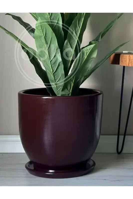 10litre Pot with Saucer Diameter: 25cmx Height: 23cm Claret Red-Claret Red - 3