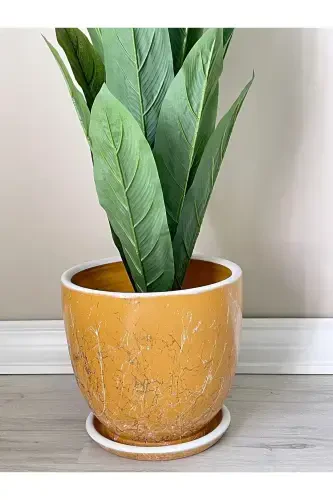10litre Pot with Saucer Diameter: 25cmx Height: 23cm Lily Yellow White Gold-Mustard - 1
