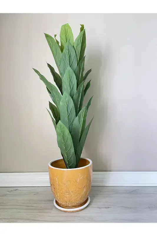 10litre Pot with Saucer Diameter: 25cmx Height: 23cm Lily Yellow White Gold-Mustard - 2