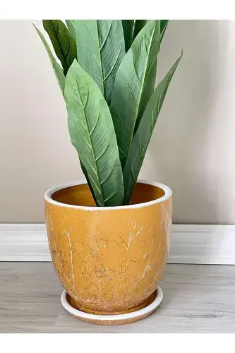 10litre Pot with Saucer Diameter: 25cmx Height: 23cm Lily Yellow White Gold-Mustard - 3