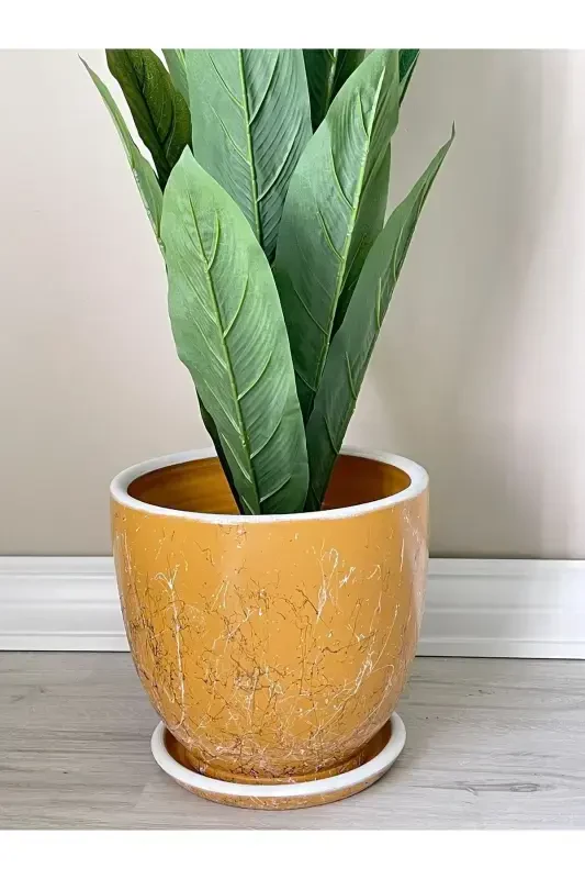 10litre Pot with Saucer Diameter: 25cmx Height: 23cm Lily Yellow White Gold-Mustard - 3