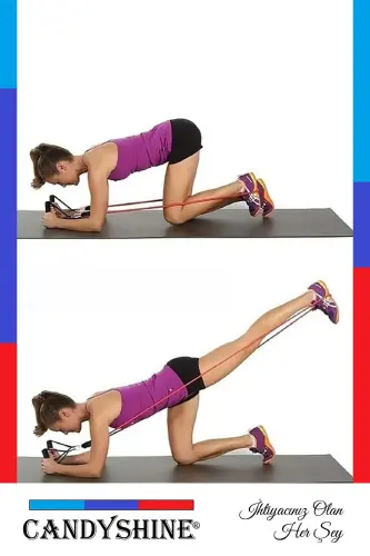 ® 12 dona Deluxe Professional Lateks Premium sifatli Fitness Konditsion Sport Asboblari Qarshilik Bandlari To'plami - 5