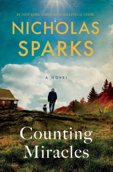 Counting Miracles: A Novel (Hardcover) - Modazone (1)