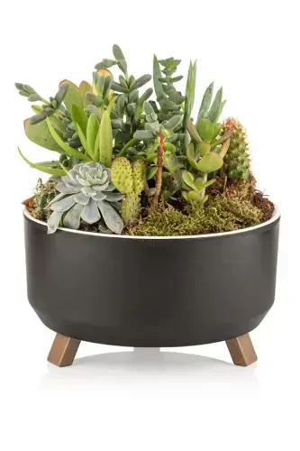 1.3 Liter 18cm Orbita Pot with Stand, Perforated, Draining, Plastic Succulent, Violet, Arrangement Pot-No2 BEIGE - 7