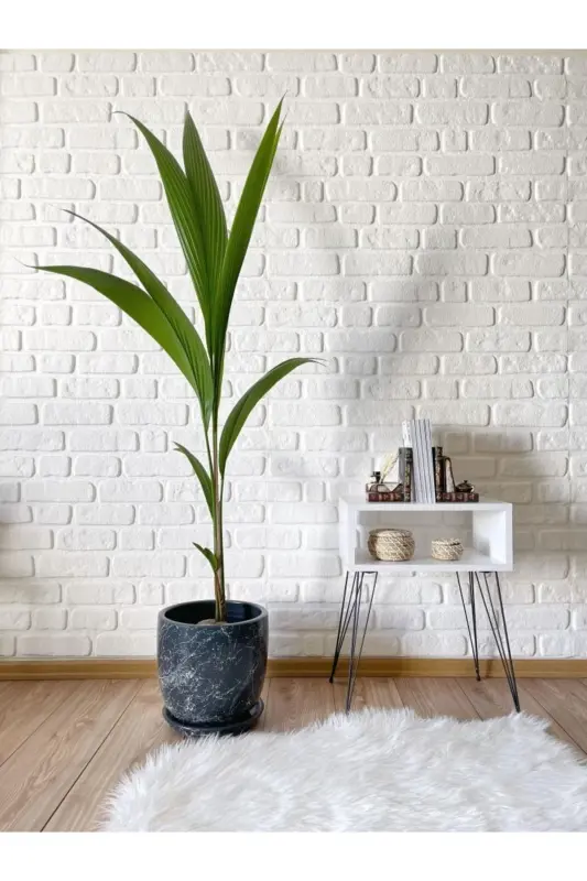10litre Saksı Tabaklı Çap: 25cmx Yükseklik: 23cm Mia Antrasit Mermer Desenli - Antrasit Mermer Desenli - 8