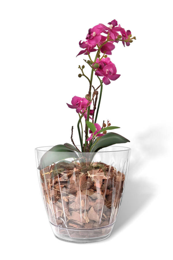 1.5 Liter Daisy Orchid Pot with Tray Transparent Plastic Pot Ø14.3 x 13.3 cm - 7