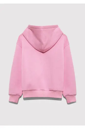 Logo Baskılı Kapüşonlu Pembe Sweatshirt 7610035-70973 - Pembe - 3