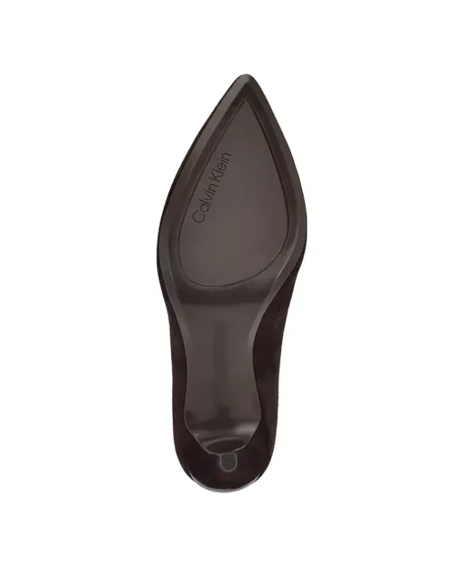 Women's Gayle Classic Pointed Toe Stiletto Pumps - Dark Brown Suede - 10